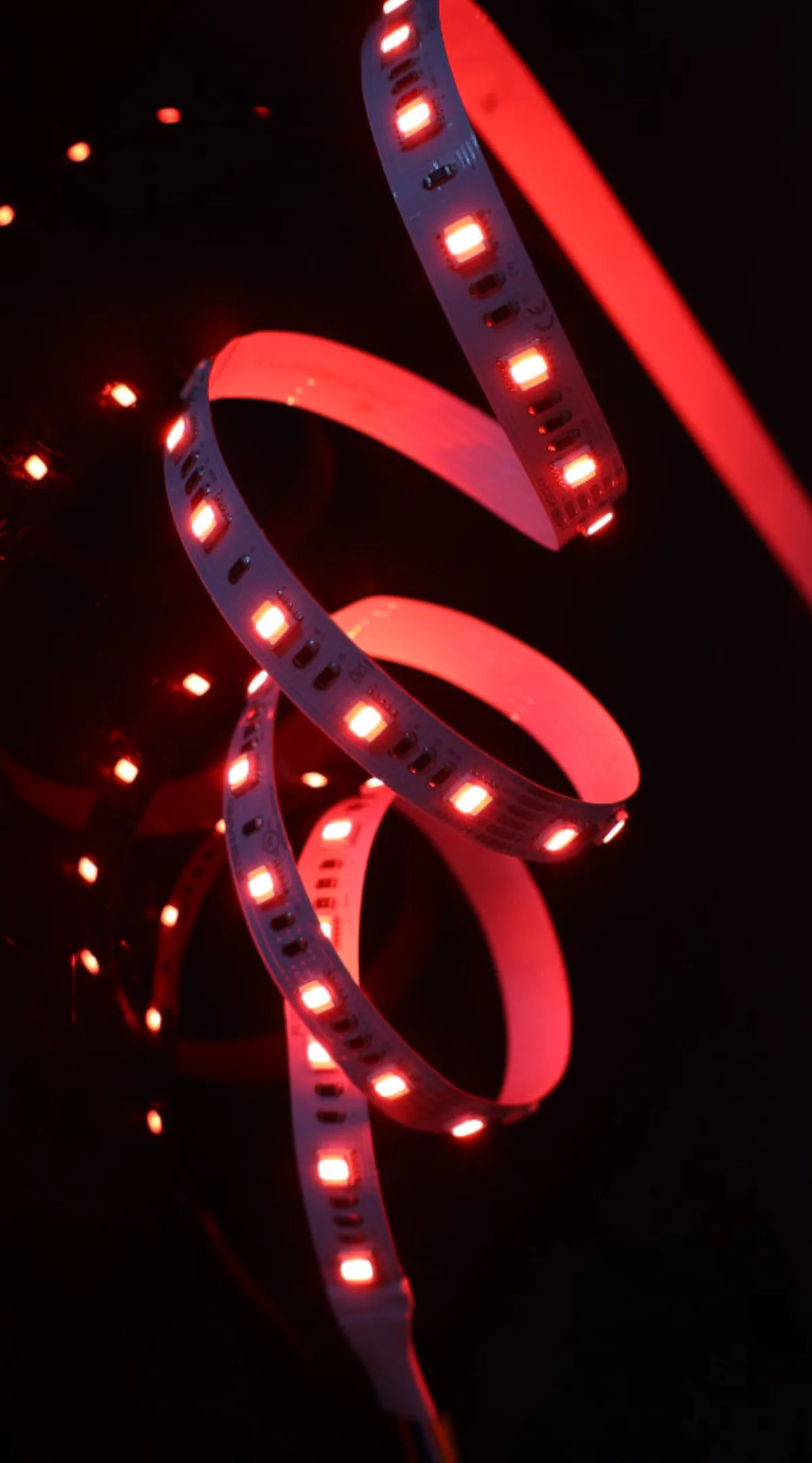 INDOOR RGB + WHITE SMD LED Strip White 6500K 4.0 W/ft 24V 12 mm IP20
